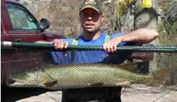 Volunteer with rescued muskellunge