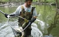 Carrying a net full of fish