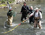 Electofishing Wanaque River