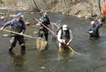 Lk. Hopatcong Commission volunteer in river