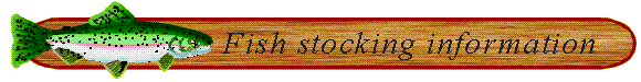 Image of Trout and wood background (10.5k)