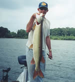 Tiger muskie