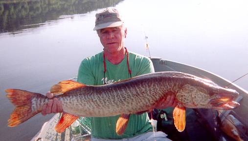 Chain o lakes state park little Muskie