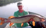 Tiger muskie