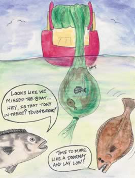 Cartoon of fish and trawl net