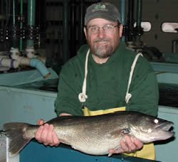 Steve Strodel with walleye breeder