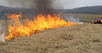 Burning field in winter
