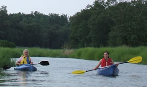 Kayakers on the water