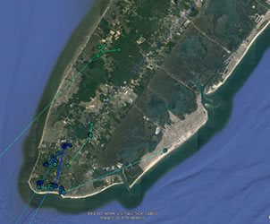 Map showing local wintering movements of Cape May tagged woodcock