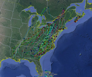 Map showing woodcock movement