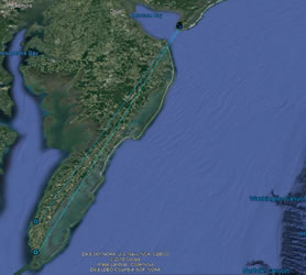 Map showing Cape May bird that moved to eastern shore of Virginia