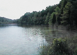 View of White Lake