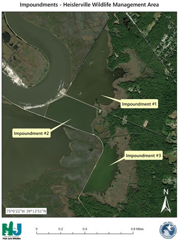 Heislerville WMA Impoundments