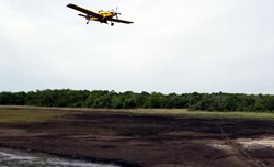 Spreading seed mixture over Mallard impoundment