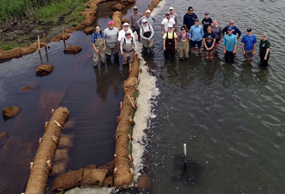 Living shoreline installation