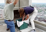 Removing chick from nestbox