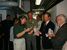 Taking Measurements of the chicks