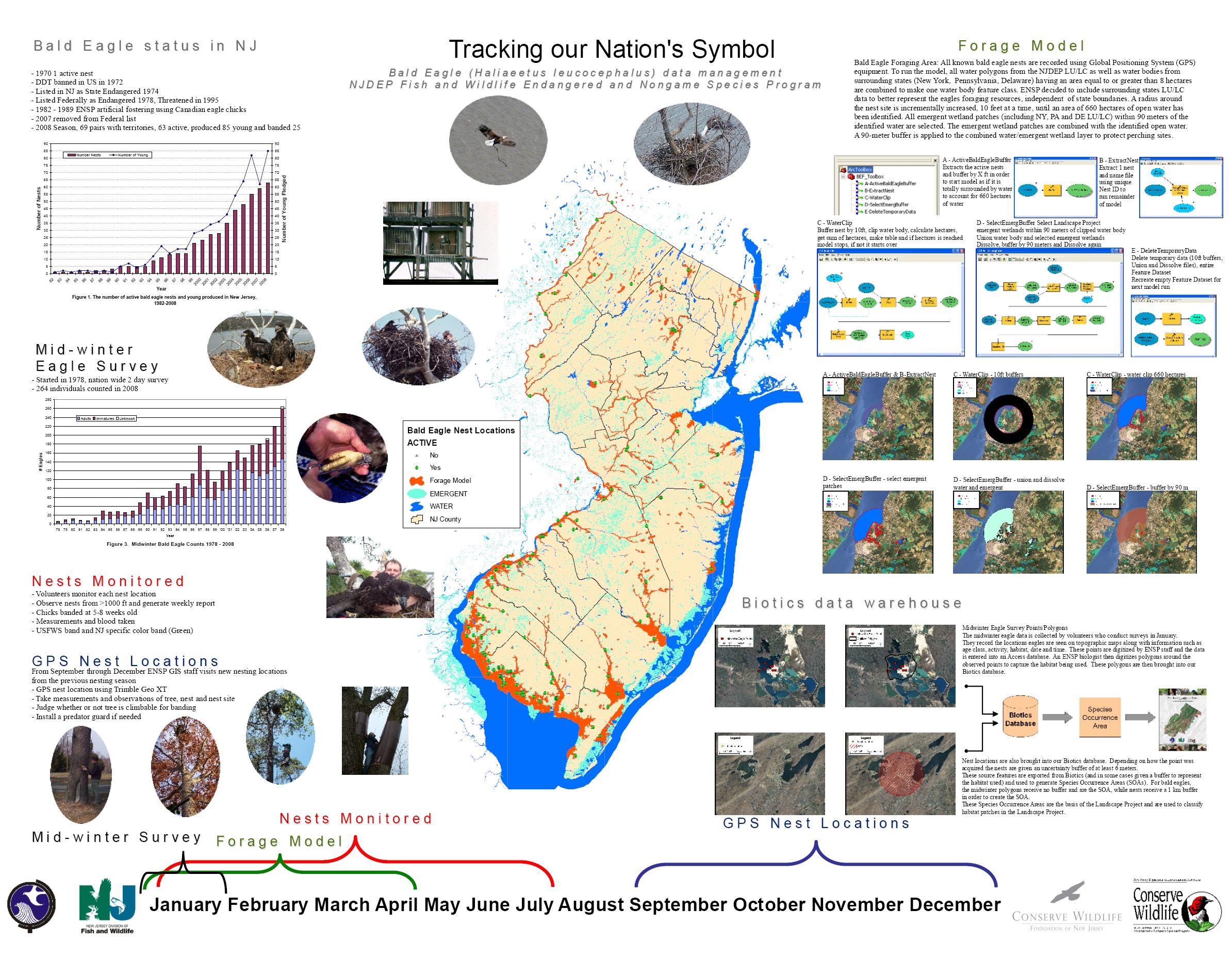 Tracking our Nation s Symbol