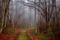 1st – Fairytale Forest / Black River Wildlife Management Area, Randolph / Sandy Urgo