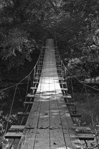 1st – The Forgotten Bridge / Institute Woods, Princeton / Absnel Esteban