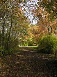 2nd – A Fall Walk / Turkey Swamp Park, Freehold Township / Tyler Hechtle