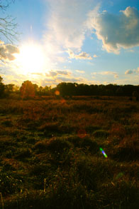 2nd – Evening Light / River Road Park, Bedminster / Jaclyn Hammond