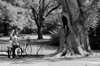 3rd – Bike Rack / Marquand Park, Princeton / Emily Goldman