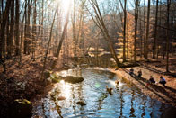 3rd – Frolicking at South Mountain Reservation / South Mountain Reservation, Montclair / Charles Menjivar