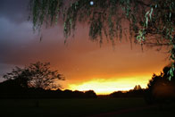 Honorable Mention: Autumn Sunset / Heritage Park, Allentown / Lizzie Mayer