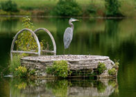 Honorable Mention: Blue Heron / Heistein Park, Randolph / Laura Byrne