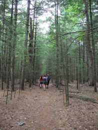 Honorable Mention: Friends Hiking / Bass River State Forest / Bass River Township / Rah’sh Horne