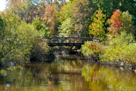Honorable Mention: Mercer County Bridge in Fall / Mercer County Park, West Windsor / Caitlyn McIntyre