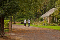 Honorable Mention: Out for a Stroll / Colonial Park, Franklin Township / Vivian Bedoya