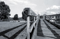 Honorable Mention: Playground / Rosedale Park, Pennington / Nathan Kumar