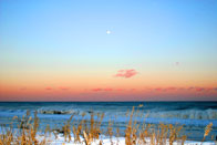 Honorable Mention: Seven Presidents Park after Snow Storm / Seven Presidents Oceanfront Park, Long Branch/ David Lipman