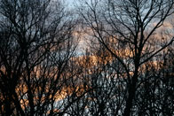 Honorable Mention: Twilight Silhouette / Thompson Park, Jamesburg / Joelle Marrone