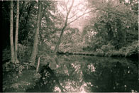 Honorable Mention: Untitled - Millstone River / Millstone River, Princeton / Elizabeth Gudgel
