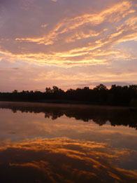 Honorable Mention: Upside-down Sunrise / Celery Farm Natural Area, Allendale / Jim Wright