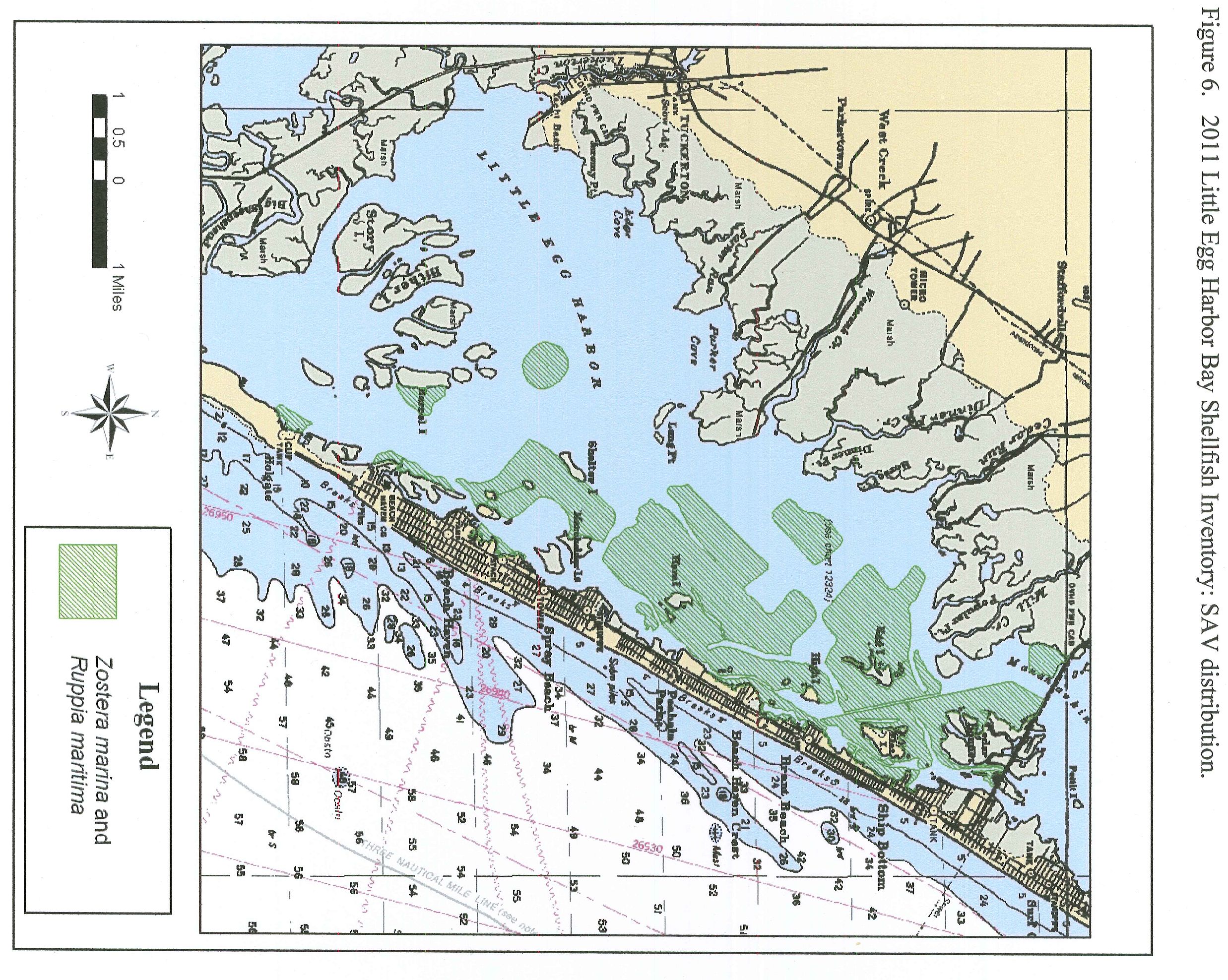 NJDEPDivision of Land Resource ProtectionSAV