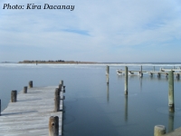 dock