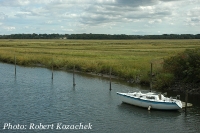 wetlands