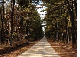 pthoto: Washington Turnpike, Wharton State Forest