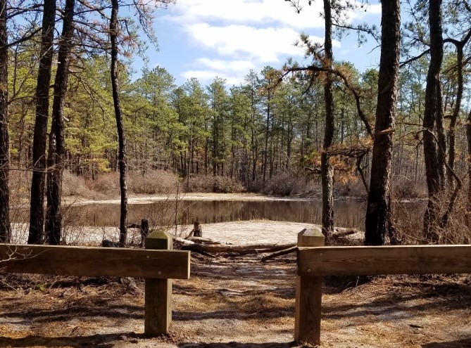 Vernal Ponds Barrier 2