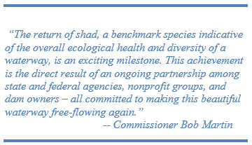  “The return of shad, a benchmark species indicative of the overall ecological health and diversity of a waterway, is an exciting milestone. This achievement is the direct result of an ongoing partnership among state and federal agencies, nonprofit groups, and dam owners – all committed to making this beautiful waterway free-flowing again.”                                     -- Commissioner Bob Martin  