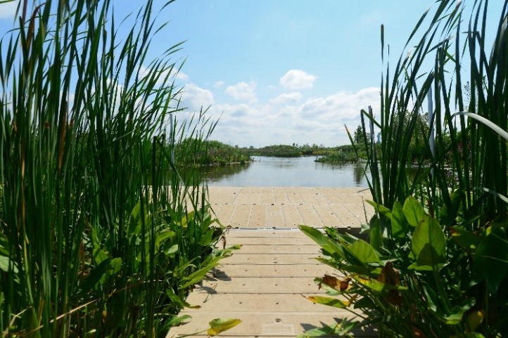 Liberty State Park Marsh