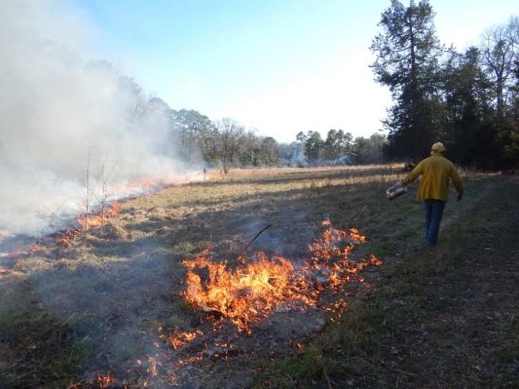 Seasonal Prescribed Burning Program