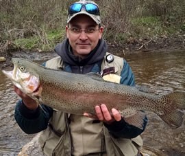 Rainbow trout broodstock fish