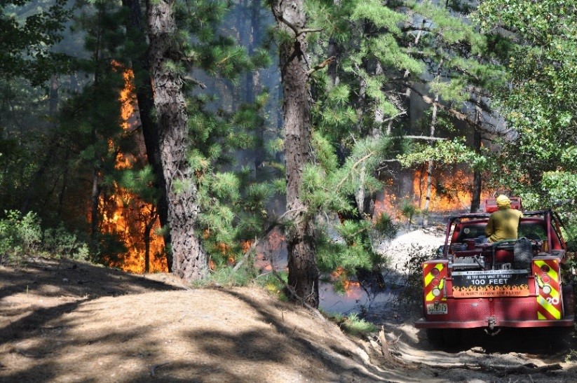 NJ Forest Fire Service