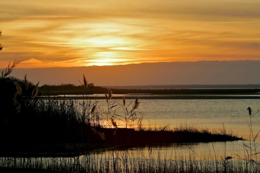 Protect Barnegat Bay