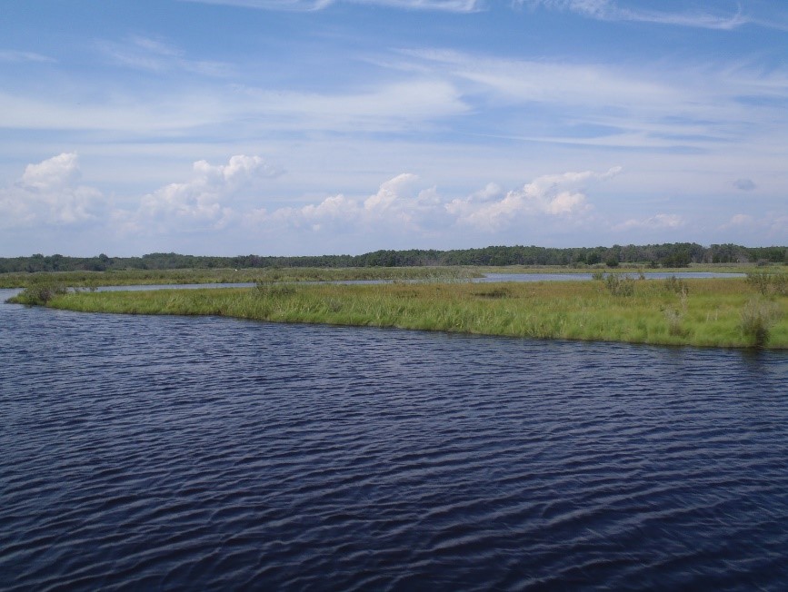 Partnership for the Delaware Estuary